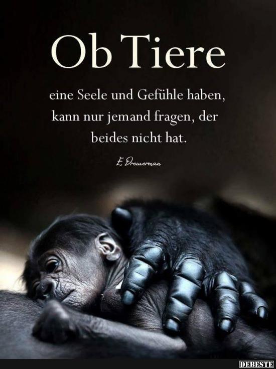 Ob Tiere eine Seele und Gefühle haben.. - Lustige Bilder | DEBESTE.de