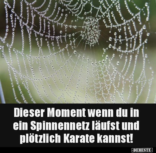 Dieser Moment wenn du in ein Spinnennetz läufst.. - Lustige Bilder | DEBESTE.de