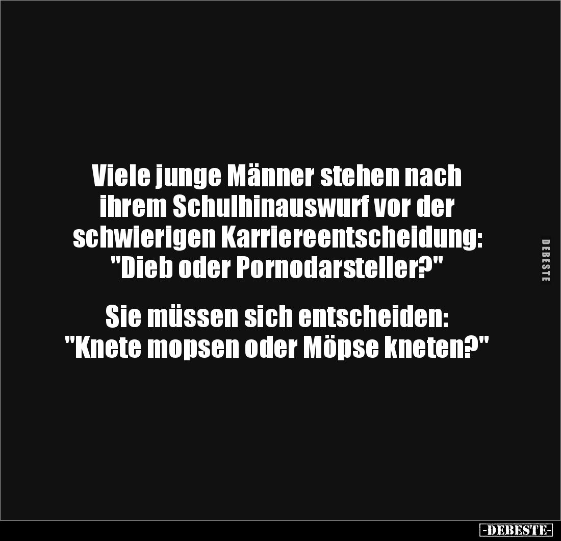 Viele junge Männer stehen nach
ihrem Schulhinauswurf vor der
schwierigen Karriereentscheidung:
"Dieb oder Pornodar...
