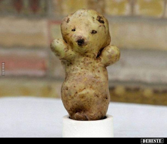  - Lustige Bilder | DEBESTE.de