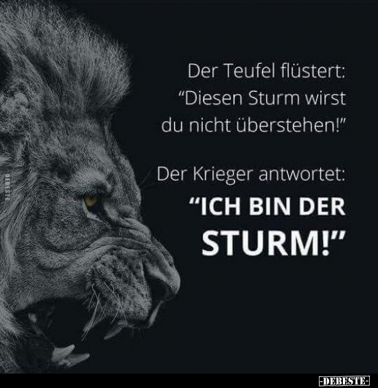 Der Teufel flüstert: "Diesen Sturm wirst du nicht.." - Lustige Bilder | DEBESTE.de