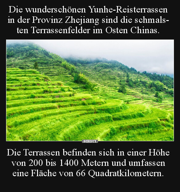 Die wunderschönen Yunhe-Reisterrassen in der Provinz.. - Lustige Bilder | DEBESTE.de