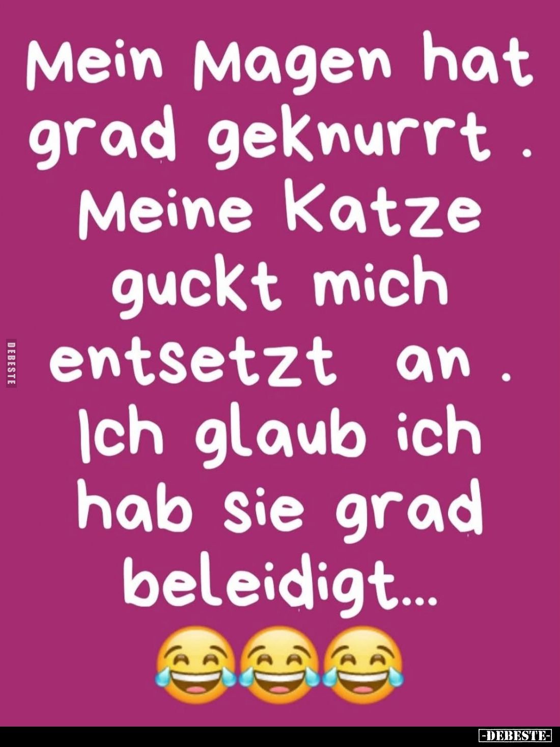 Mein Magen hat grad geknurrt.
Meine Katze guckt mich entsetzt an.
Ich glaub ich hab sie grad beleidigt...