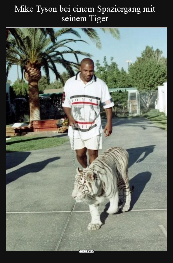 Mike Tyson bei einem Spaziergang mit seinem Tiger.. - Lustige Bilder | DEBESTE.de