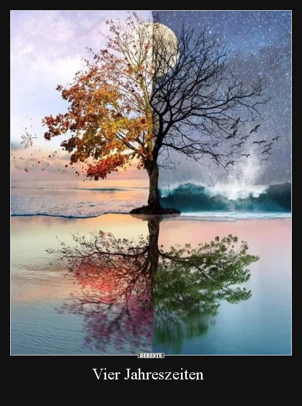 Vier Jahreszeiten..