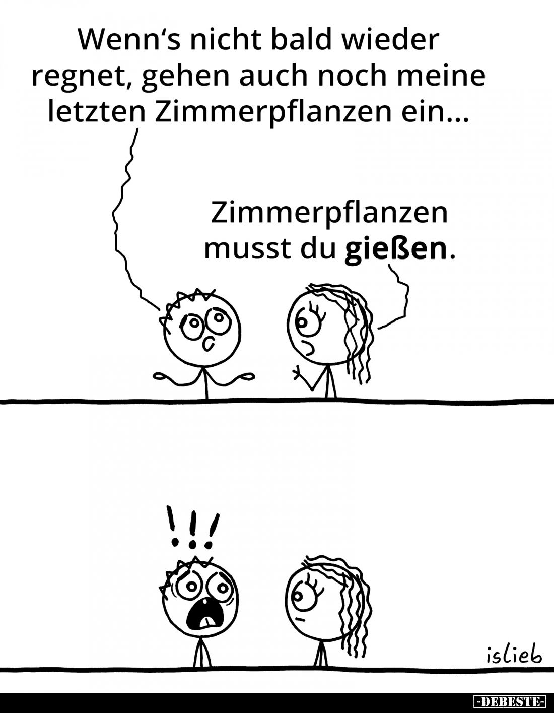 Wenn's nicht bald wieder regnet, gehen auch noch meine letzten Zimmerpflanzen ein...
Zimmerpflanzen musst du gießen.