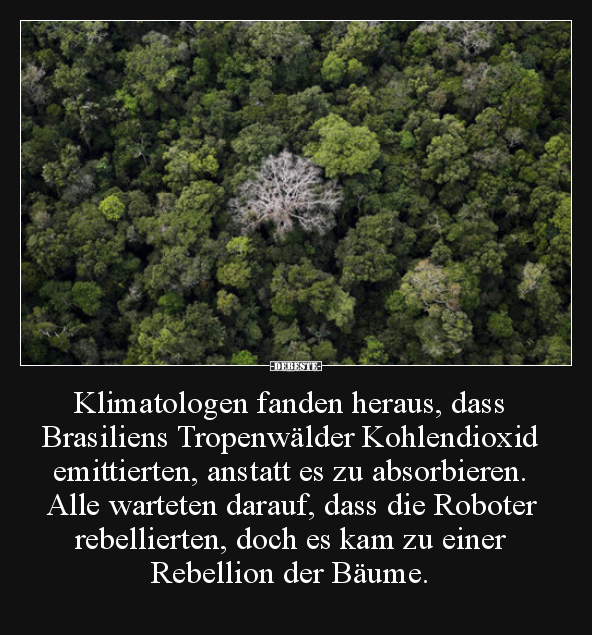 Klimatologen fanden heraus, dass Brasiliens Tropenwälder.. - Lustige Bilder | DEBESTE.de