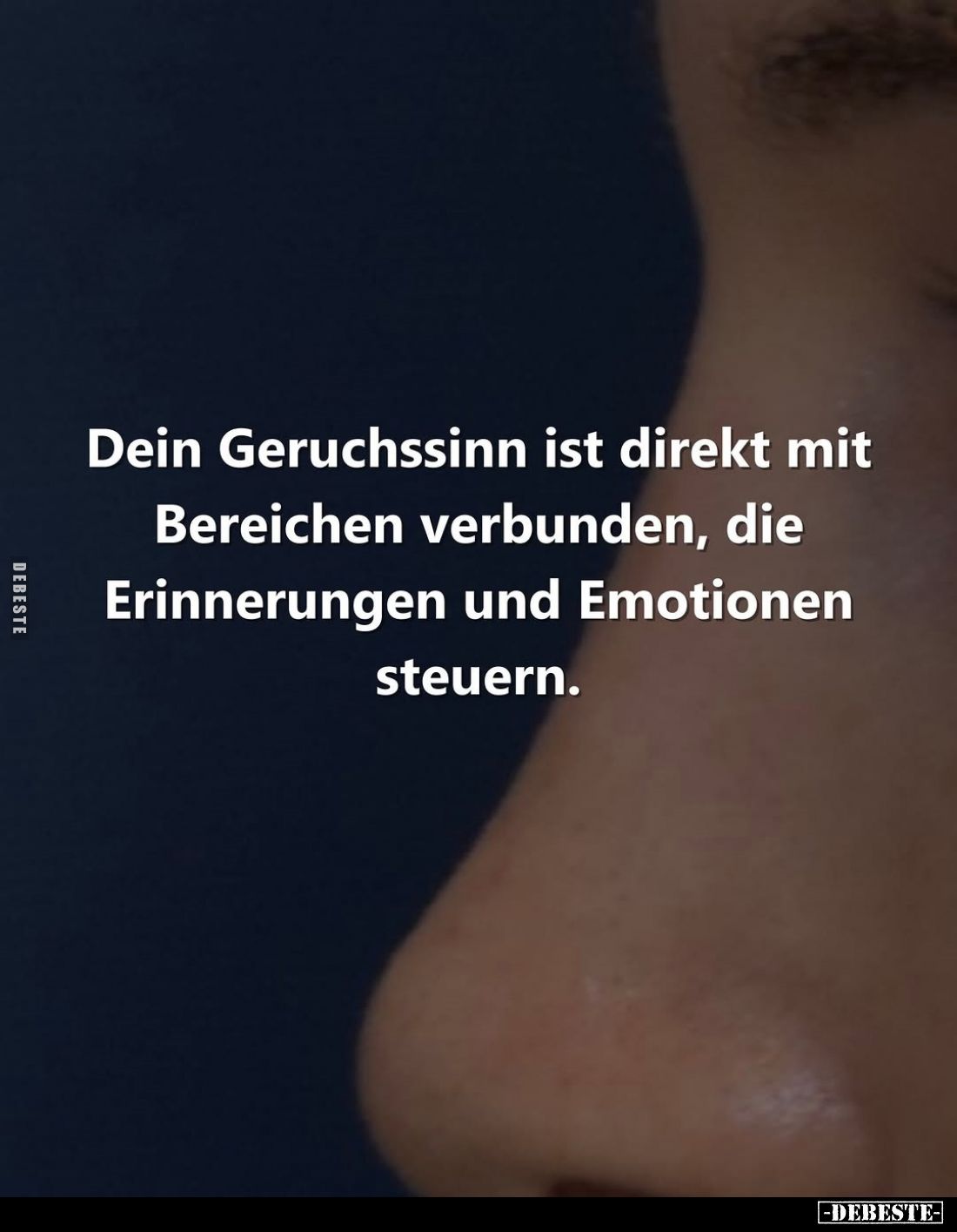 Dein Geruchssinn ist direkt mit Bereichen verbunden, die Erinnerungen und Emotionen steuern.