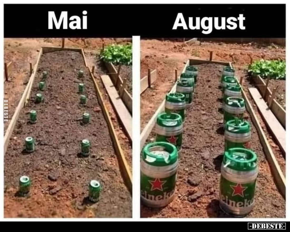 Mai vs August.