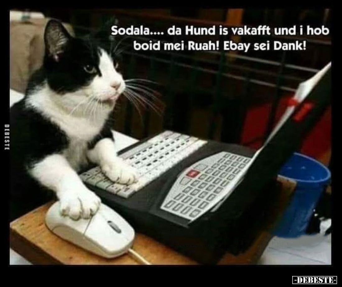 Sodala.... da Hund is vakafft.. - Lustige Bilder | DEBESTE.de