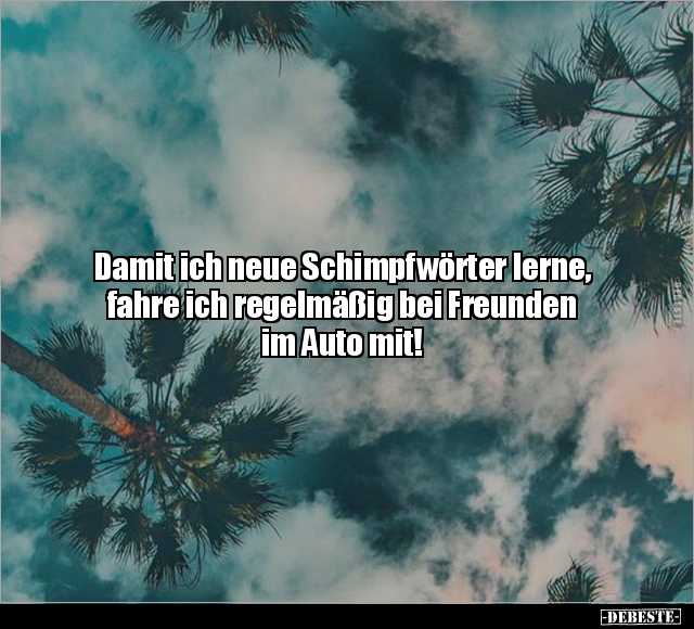 Damit ich neue Schimpfwörter lerne, fahre ich regelmäßig.. - Lustige Bilder | DEBESTE.de