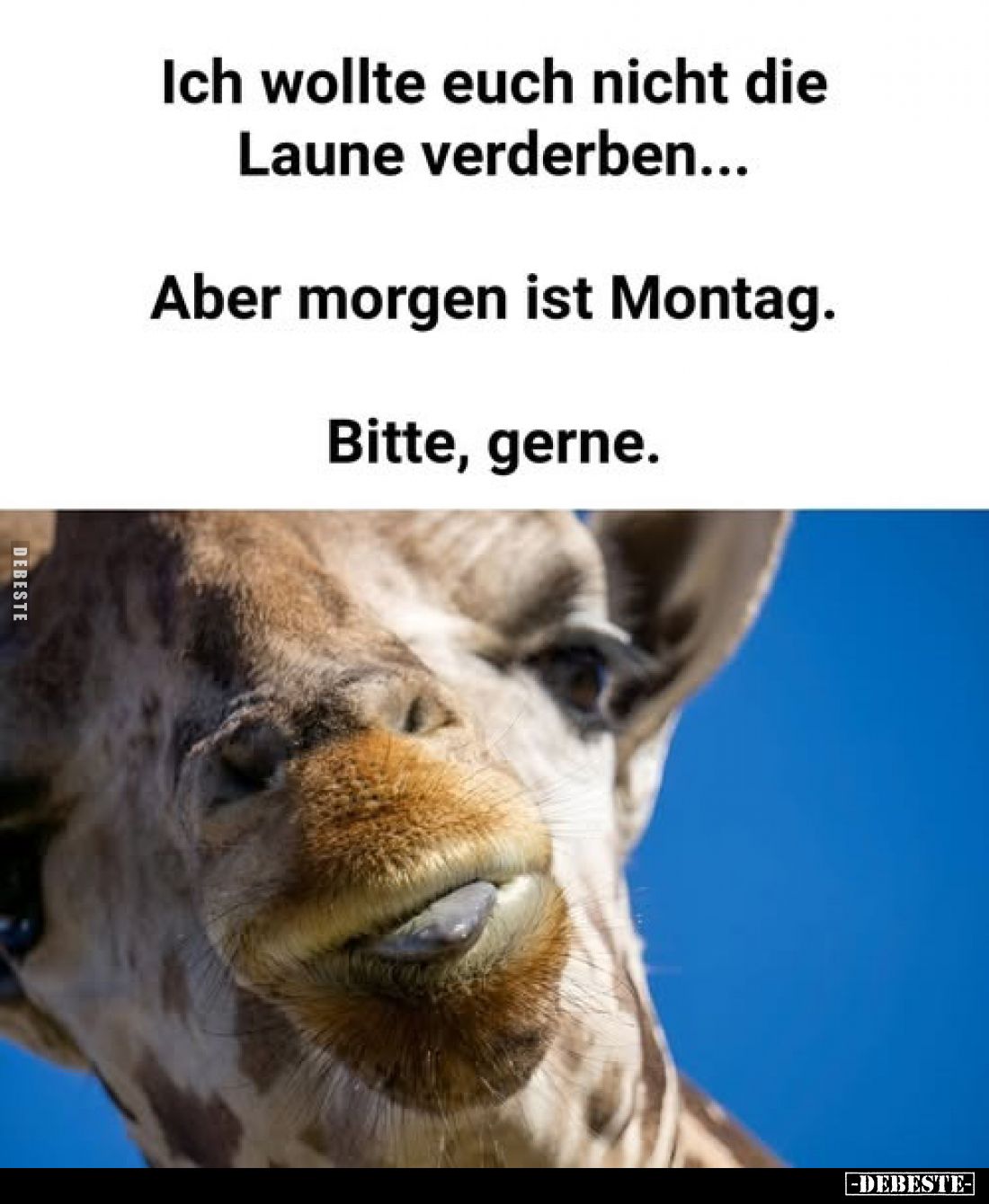 Ich wollte euch nicht die Laune verderben...
Aber morgen ist Montag.
Bitte, gerne.