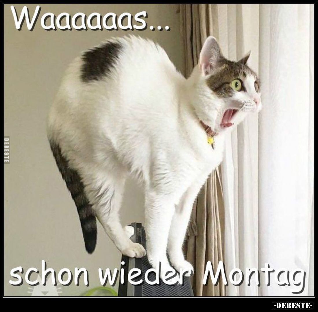 Waaaaaas...
schon wieder Montag.