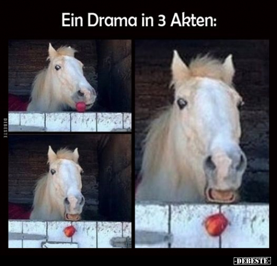 Ein Drama in 3 Akten.. - Lustige Bilder | DEBESTE.de