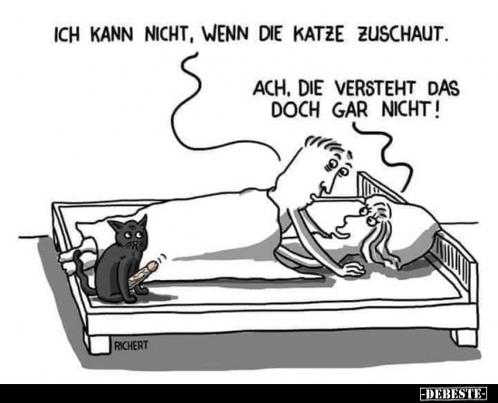 Ich kann nicht, wenn die Katze zuschaut...