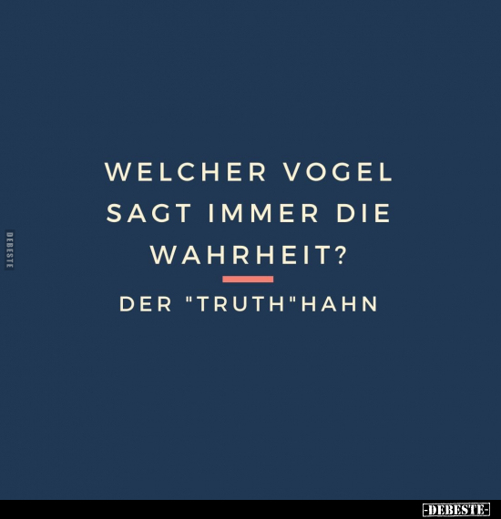 Welcher Vogel sagt immer die Wahrheit?.. - Lustige Bilder | DEBESTE.de