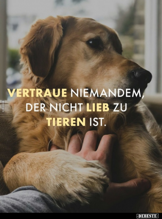 Vertraue niemandem der nicht lieb zu Tieren ist... - Lustige Bilder | DEBESTE.de