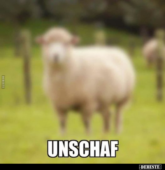 Unschaf..
