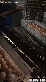 Kleiner Eier-Check..