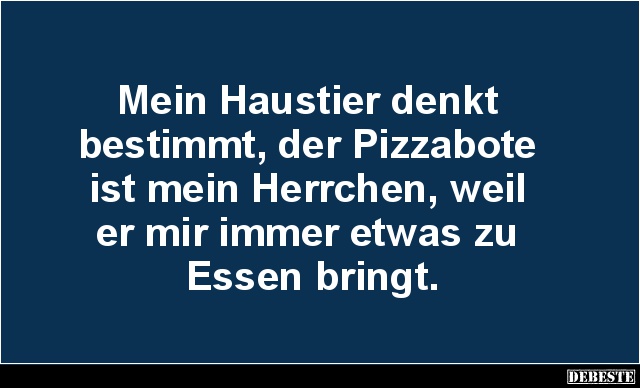 Mein Haustier denkt bestimmt, der Pizzabote.. - Lustige Bilder | DEBESTE.de