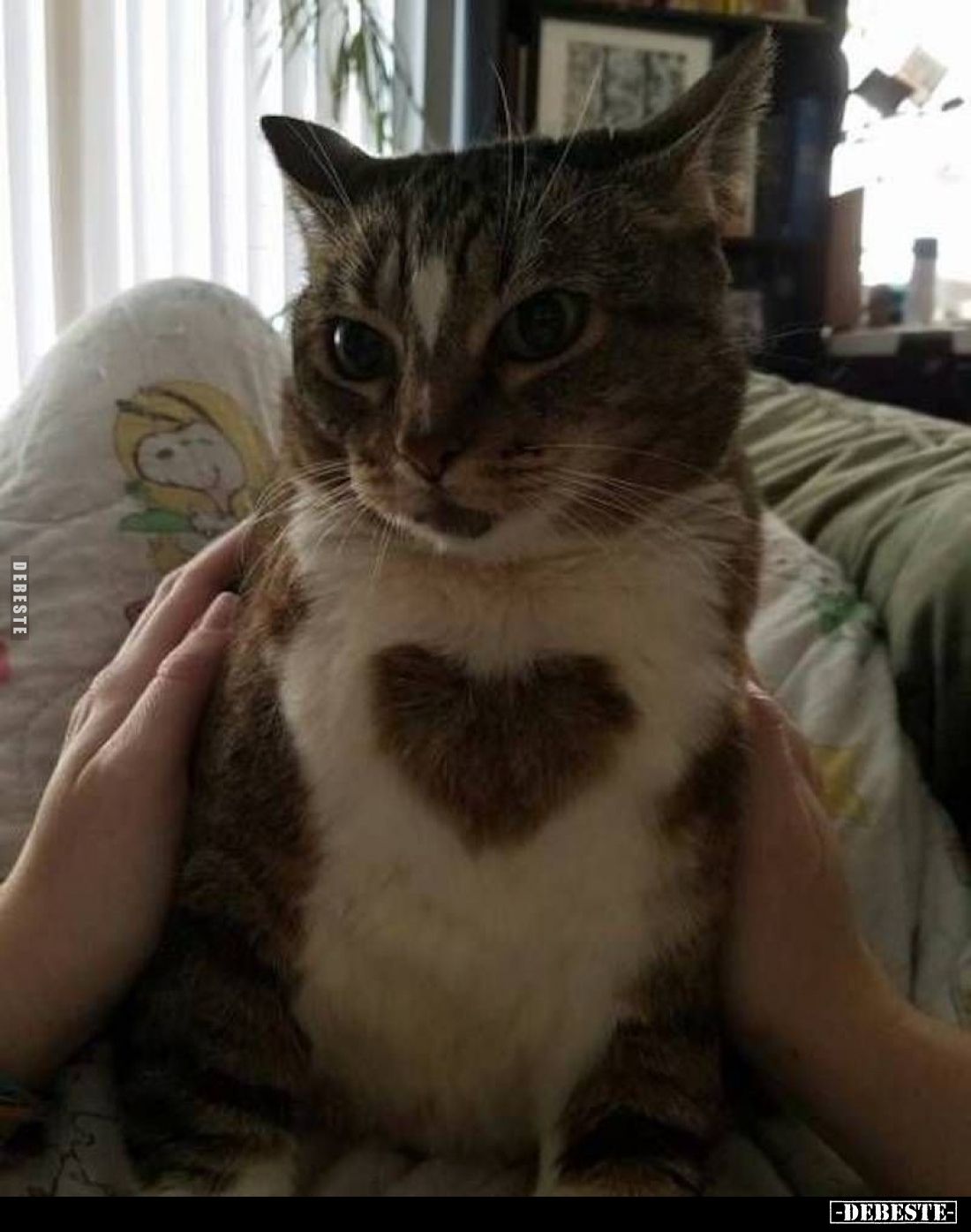  - Lustige Bilder | DEBESTE.de