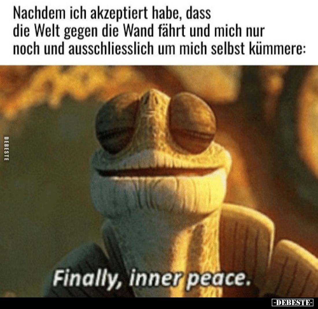 Nachdem ich akzeptiert habe, dass
die Welt gegen die Wand fährt und mich nur
noch und ausschliesslich um mich selbst kümmer...