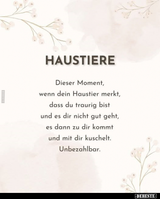 Haustiere.
Dieser Moment, wenn dein Haustier merkt, dass du traurig bist und es dir nicht gut geht, es dann zu dir kommt und...