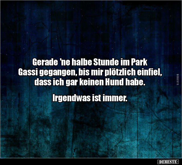 Gerade 'ne halbe Stunde im Park Gassi gegangen.. - Lustige Bilder | DEBESTE.de