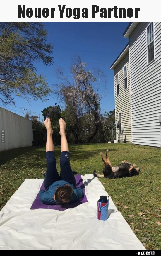 Neuer Yoga Partner..