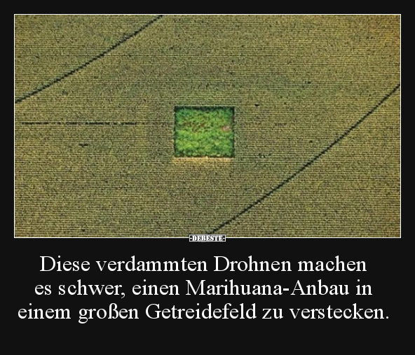 Diese verdammten Drohnen machen es schwer, einen.. - Lustige Bilder | DEBESTE.de
