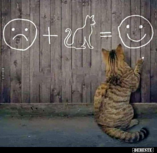  - Lustige Bilder | DEBESTE.de