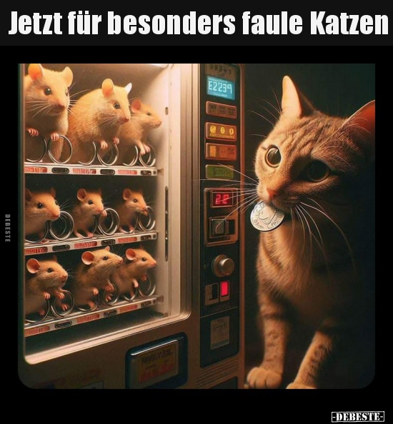 Jetzt für besonders faule Katzen.. - Lustige Bilder | DEBESTE.de