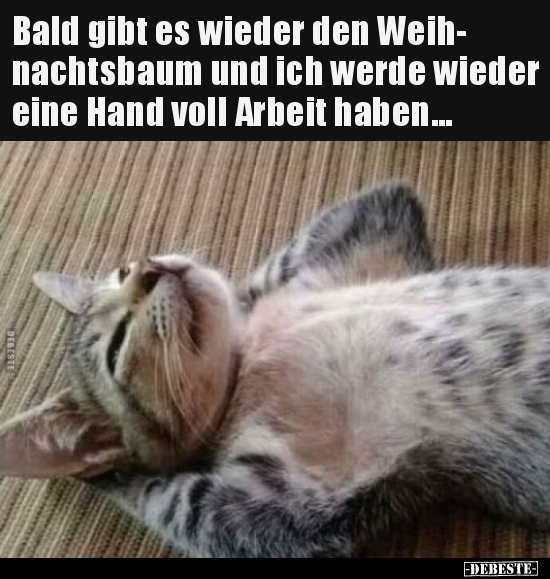 Bald gibt es wieder den Weihnachtsbaum und ich werde wieder..