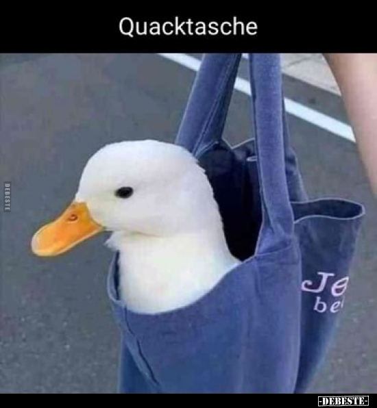 Quacktasche.. - Lustige Bilder | DEBESTE.de