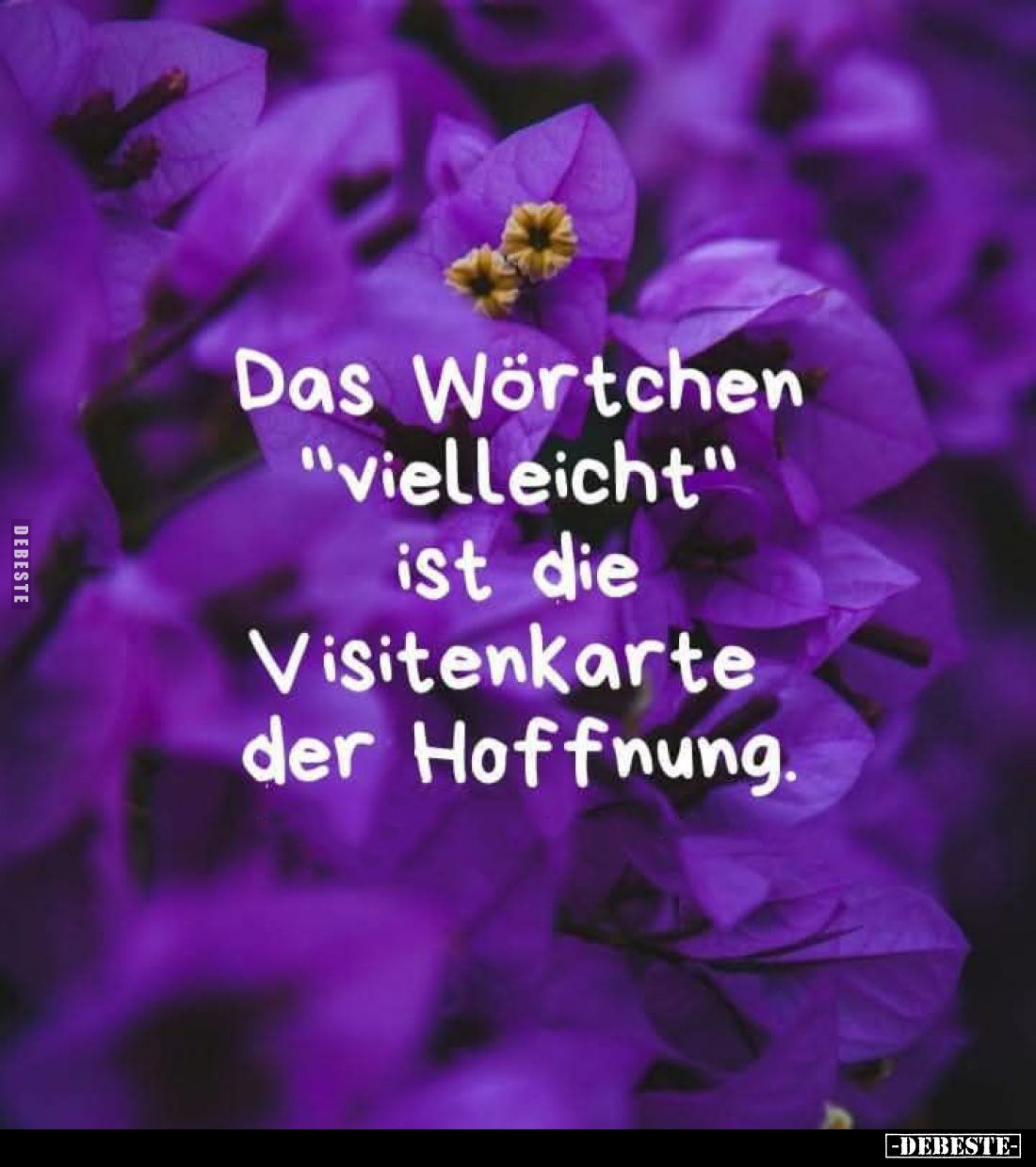 Das Wörtchen "vielleicht" ist die Visitenkarte der Hoffnung.