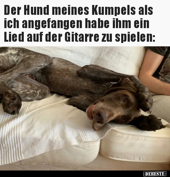 Der Hund meines Kumpels als ich angefangen habe ihm ein.. - Lustige Bilder | DEBESTE.de