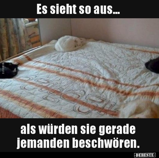 Es sieht so aus... als würden sie gerade jemanden..