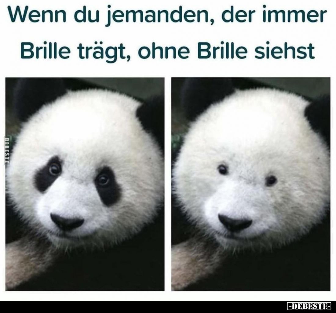 Wenn du jemanden, der immer Brille trägt, ohne Brille.. - Lustige Bilder | DEBESTE.de