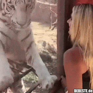  - Lustige Bilder | DEBESTE.de