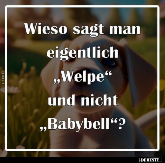 Wieso sagt man eigentlich "Welpe" und nicht "Babybell"?.. - Lustige Bilder | DEBESTE.de
