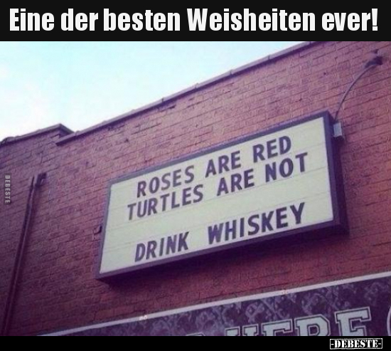 Eine der besten Weisheiten ever!.. - Lustige Bilder | DEBESTE.de