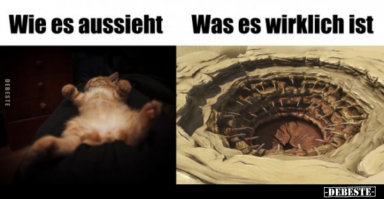 Wie es aussieht  / Was es wirklich ist..