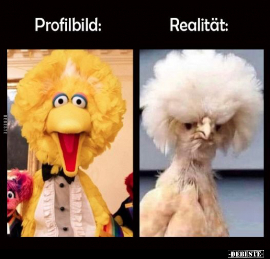 Profilbild: Realität.. - Lustige Bilder | DEBESTE.de