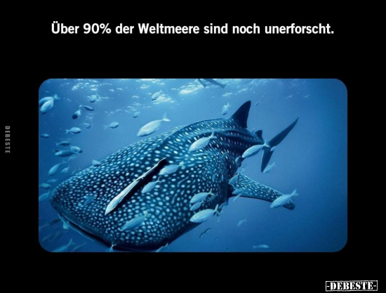 Über 90% der Weltmeere sind noch unerforscht... - Lustige Bilder | DEBESTE.de