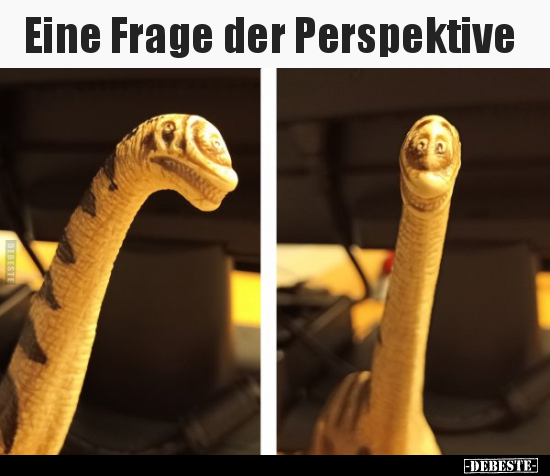 Eine Frage der Perspektive.. - Lustige Bilder | DEBESTE.de