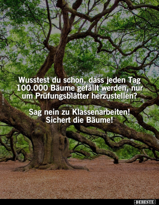 Wusstest du schon, dass jeden Tag 100.000 Bäume gefällt.. - Lustige Bilder | DEBESTE.de