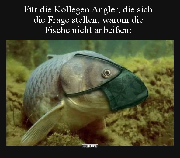 Für die Kollegen Angler, die sich die Frage stellen, warum.. - Lustige Bilder | DEBESTE.de