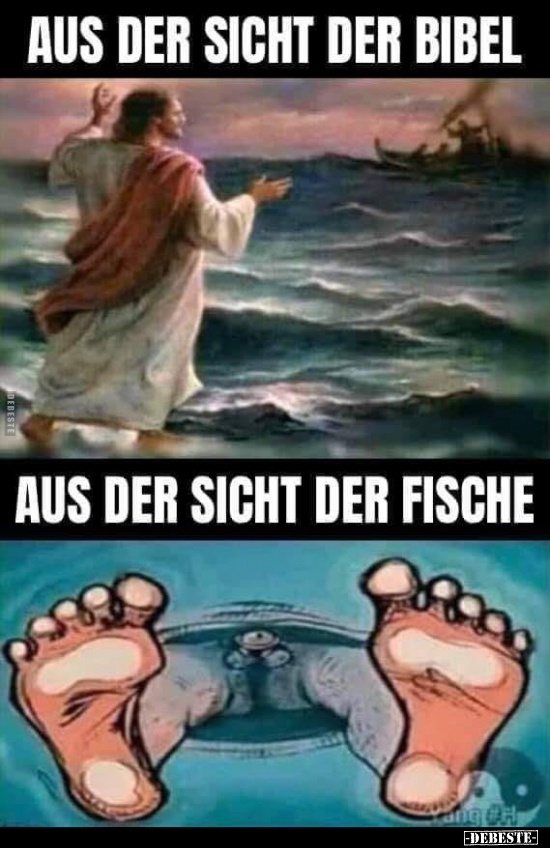 Aus der sicht der Bibel / Aus der sicht der Fische.. - Lustige Bilder | DEBESTE.de