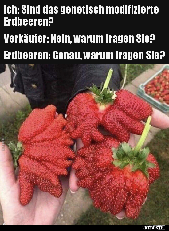 Ich: Sind das genetisch modifizierte..