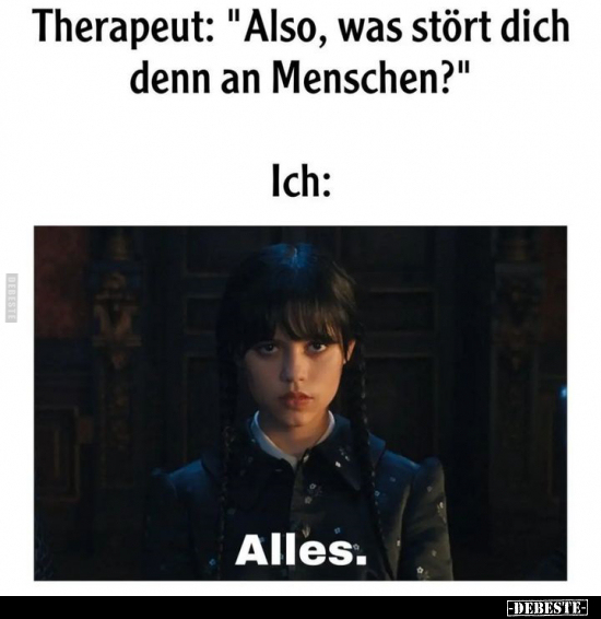 Therapeut: "Also, was stört dich denn an Menschen?".. - Lustige Bilder | DEBESTE.de